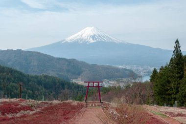 Japonya 'daki Fuji Dağı manzaralı Tenku No Torii Kapısı