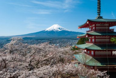 Fuji Dağı ve kiraz çiçeklerinin manzarası Chureito Pagoda, Japonya