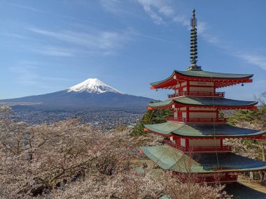 Fuji Dağı ve kiraz çiçeklerinin manzarası Chureito Pagoda, Japonya