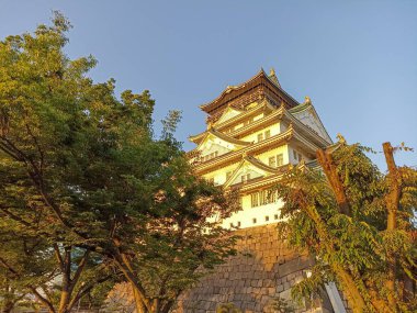 Osaka Kalesi, Japonya 'nın dışı.