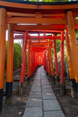 Tokyo, Japonya 'daki Otome Inari Tapınağı' ndan Torii Gates