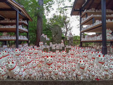 Japonya 'daki Daikeizan Gotokuji Tapınağı' nda yüzlerce şanslı kedi.