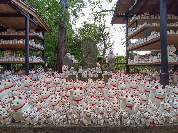 Japonya 'daki Daikeizan Gotokuji Tapınağı' nda yüzlerce şanslı kedi.