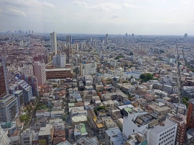 Tokyo, Setagaya Bölgesi, Japonya Havuç Kulesi 'nin tepesinden panoramik manzara