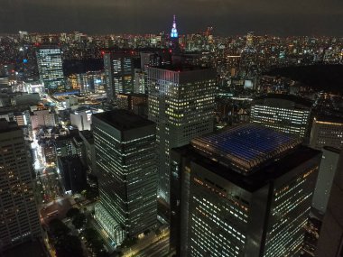Metropolitan Hükümet Binası 'ndan aydınlatılmış Tokyo ve Japonya' nın panoramik görüntüsü