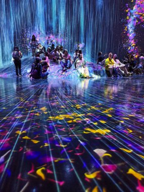 Tokyo, Japonya 'daki Sınır Tanımayan Takımdan Dijital Sanat Müzesi 