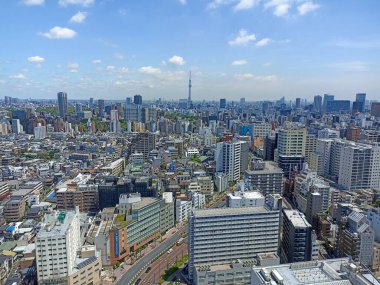 Tokyo şehir manzarası Tokyo Skytree ile Bunkyo Şehir Merkezi çatı güvertesi, Japonya