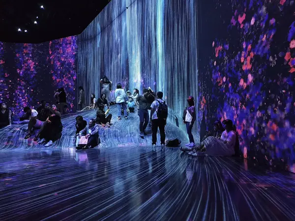 Tokyo, Japonya 'daki Sınır Tanımayan Takımdan Dijital Sanat Müzesi