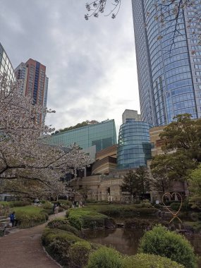 Mohri Garden by Roppongi Hills in Tokyo, Japan in the spring with blooming sakura clipart