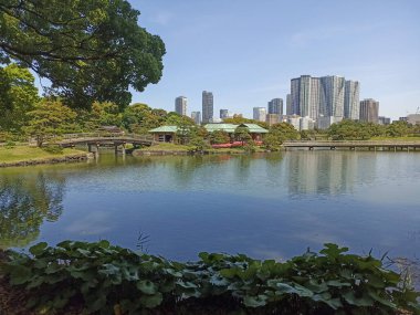 Tokyo, Japonya 'daki Shiodome Bölümü' nün gökdelenleriyle çevrili Hamarikyu Bahçeleri