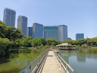 Tokyo, Japonya 'daki Shiodome Bölümü' nün gökdelenleriyle çevrili Hamarikyu Bahçeleri