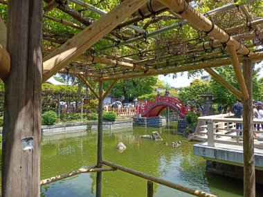 Bahar, Tokyo ve Japonya 'da Wisteria Frames ile Kameido Tenjin Tapınağı