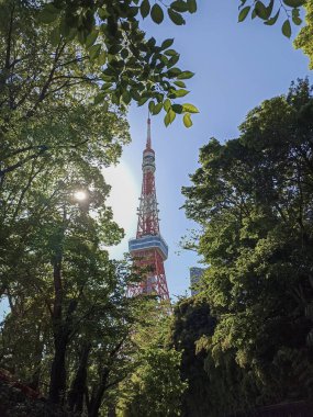 Tokyo Kulesi 'nin yaprakları, Tokyo, Japonya manzarası