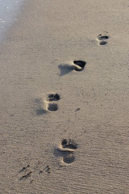 footsteps on the seaside. Walking on the beach
