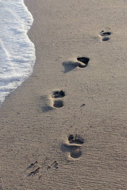 footsteps on the seaside. Walking on the beach