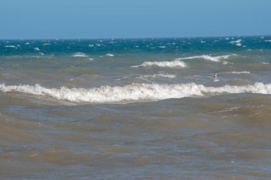 sea waves on the argentinian atlantic coast