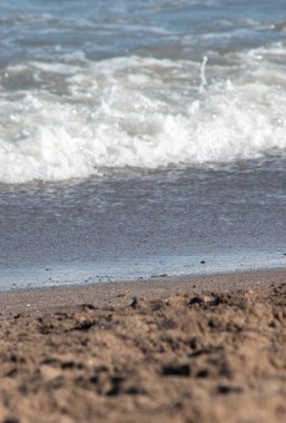 sea foam on the beach shore