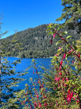 Beautuful landscape of San Martin de los Andes, Argentina