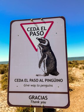 sign give way to penguins in the natural reserve of Punta Tomb
