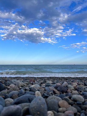 Puerto Madryn 'deki sahilin manzarası