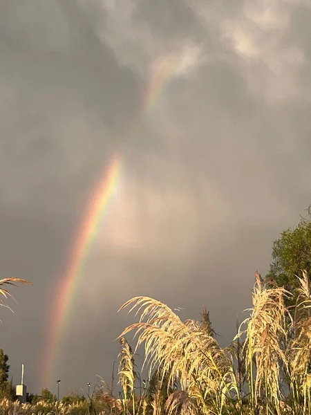 Colorful Rainbow Summer Storm — Stock Photo, Image