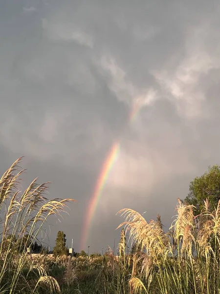 colorful rainbow after summer storm