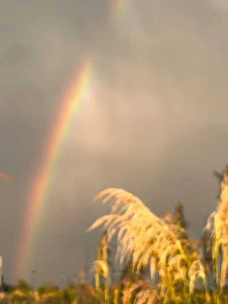 Yaz Fırtınasından Sonra Renkli Gökkuşağı — Stok fotoğraf
