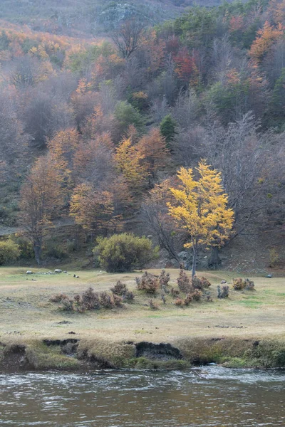Осенний Пейзаж Национальном Парке Огненная Земля — стоковое фото