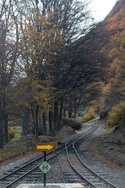 Podzimní Krajina Národním Parku Tierra Del Fuego — Stock fotografie