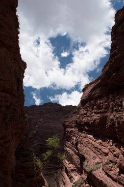 Salta 'daki Calchaquies Vadisi. Arjantin