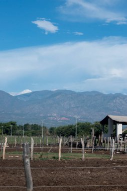 Cafayate, Salta, Arjantin 'de ağıllar. Çiftliği kırsal alan
