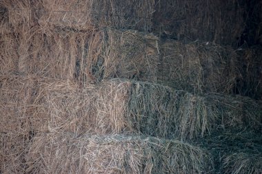 sığır beslemek için çim balyaları