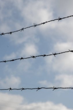 Dikenli tellerin ayrıntıları