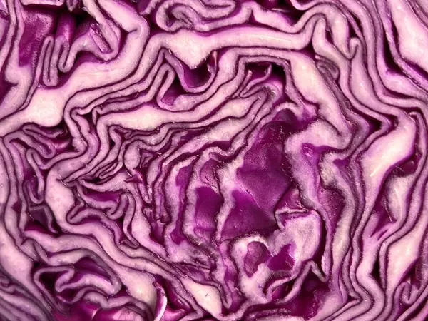 texture of a red cabbage