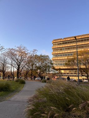 Buenos Aires Mimarlık Fakültesi 'nin inşası