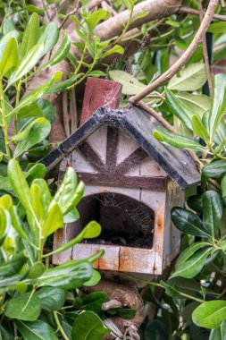 Bahçe bitkilerinin arasında ahşap bir ev