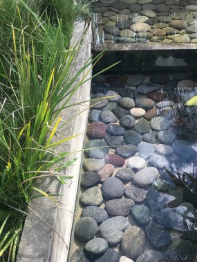 Göletin dibindeki taşlar