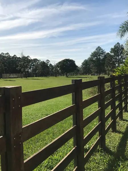 wooden fence dividing two lots