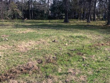 Eski beyaz banyo örtüsünün damalı deseninin ayrıntıları.