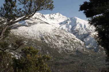Los Alerces Ulusal Parkı, Esquel, Chubut, Arjantin manzarası. Patagonya Arjantin