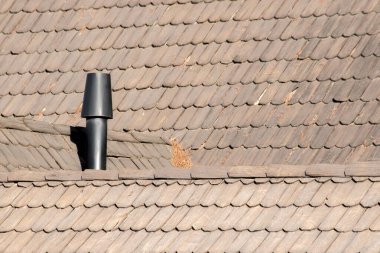 Chubut 'ta ahşap kiremitli çatı ve baca