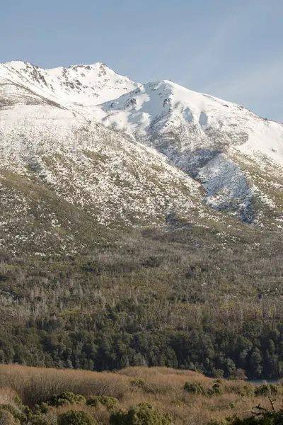 Los Alerces Ulusal Parkı, Esquel, Chubut, Arjantin manzarası. Patagonya Arjantin