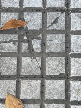 kaldırımda sonbahar yaprak