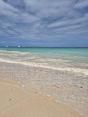 Punta Cana, Dominik Cumhuriyeti 'nde bir paradisial plajın manzarası