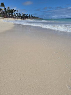 Punta Cana, Dominik Cumhuriyeti 'nde bir paradisial plajın manzarası