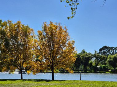 Kolon şehrindeki Uruguay Nehri kıyılarının manzarası.