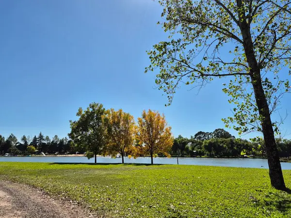 Kolon şehrindeki Uruguay Nehri kıyılarının manzarası.
