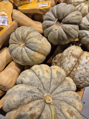 Satılık balkabaklarının yakın çekimi