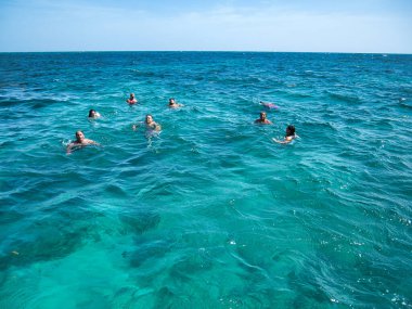 Saona Adası 'nda plaj günü