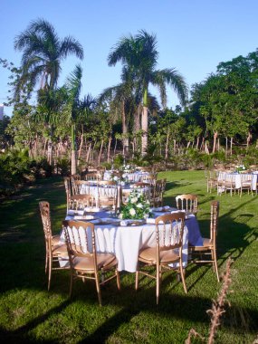 Beyaz şemsiyeli ve mavi gökyüzü olan güzel bir sahil.